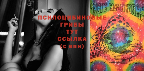 твердый Заволжск