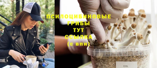 марихуана Заводоуковск