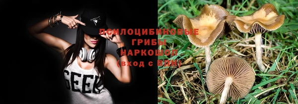 бутират Болхов