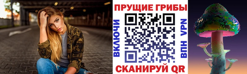Галлюциногенные грибы Psilocybine cubensis  цены   Каменка 